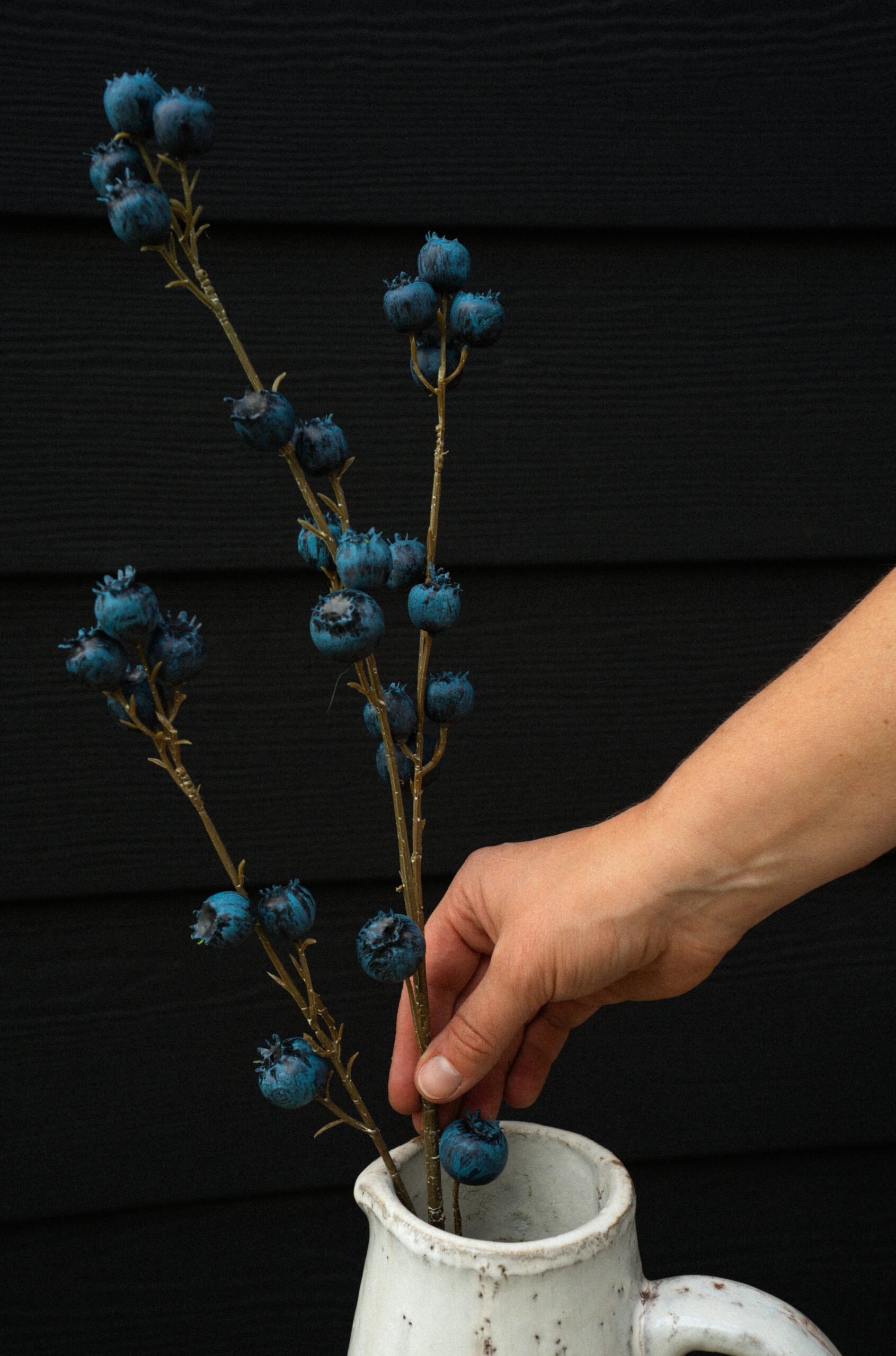 Blueberry Branch - Image 3
