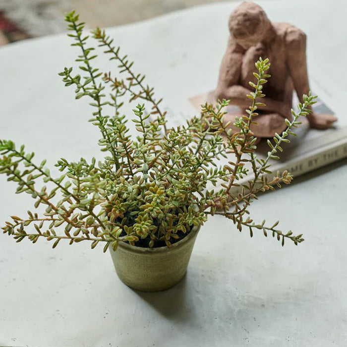 Artificial Burrito Sedum in pot - Image 2