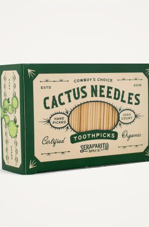 Cactus Needle Toothpicks