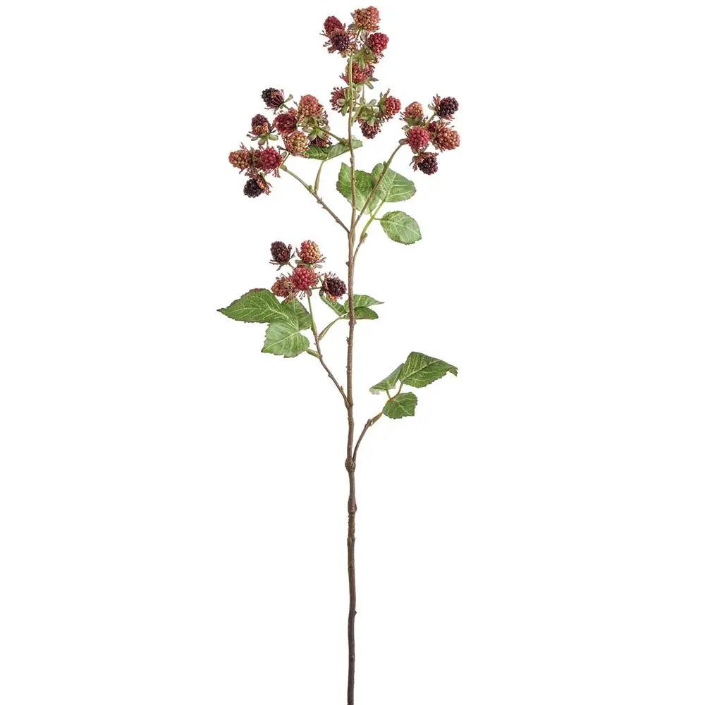 Faux Raspberry Stem - Image 2
