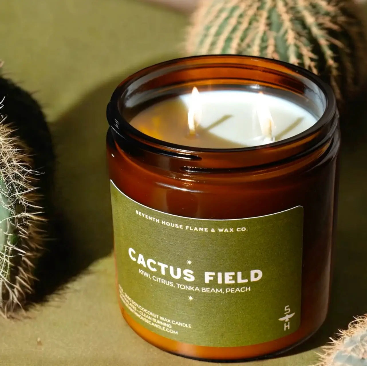 Cactus Field Candle - Image 2