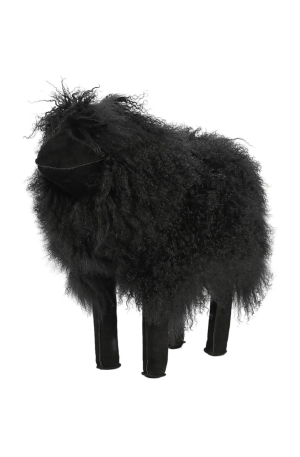 Tibetan Lamb Sheep
