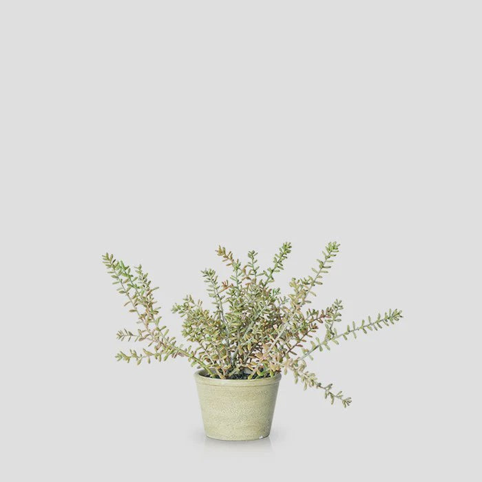 Artificial Burrito Sedum in pot
