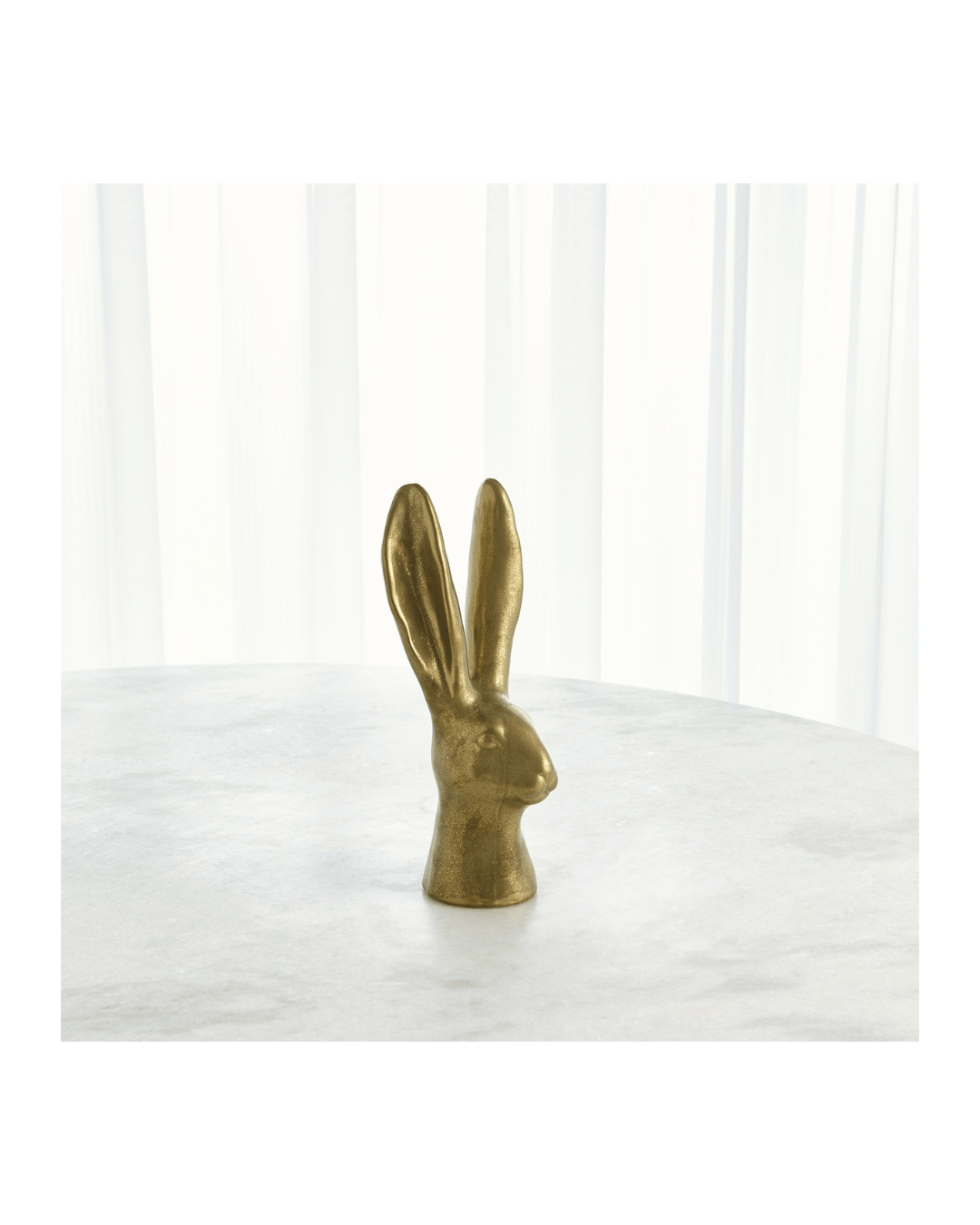 Rabbit S