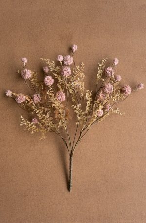Pink Melaleuca
