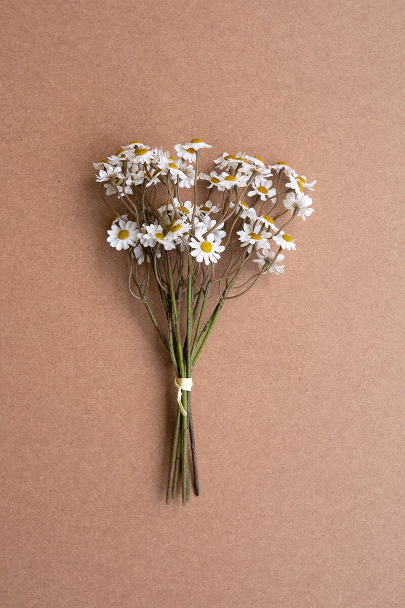 Chamomile