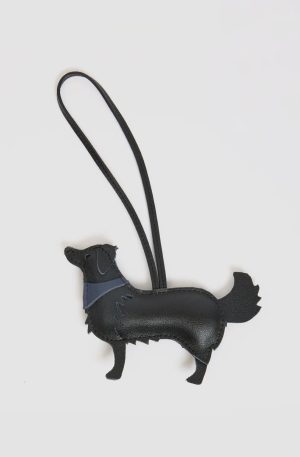 Coqui Fob