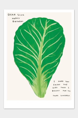Dear Slug, Happy Birthday Postcard