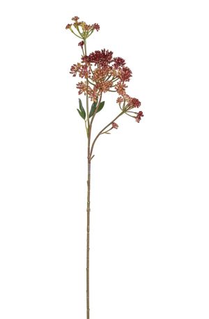 24.5″ Angelica Flower Stem