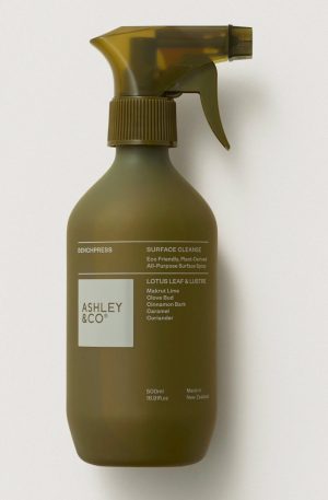 Benchpress Surface Cleanse