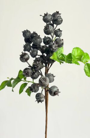 14″ Blueberry Pick