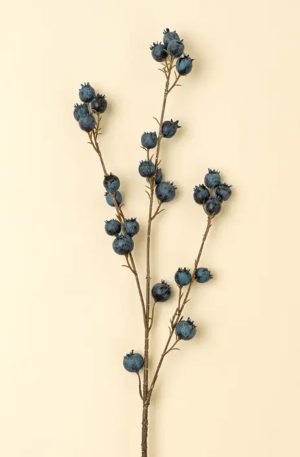 Blueberry Branch