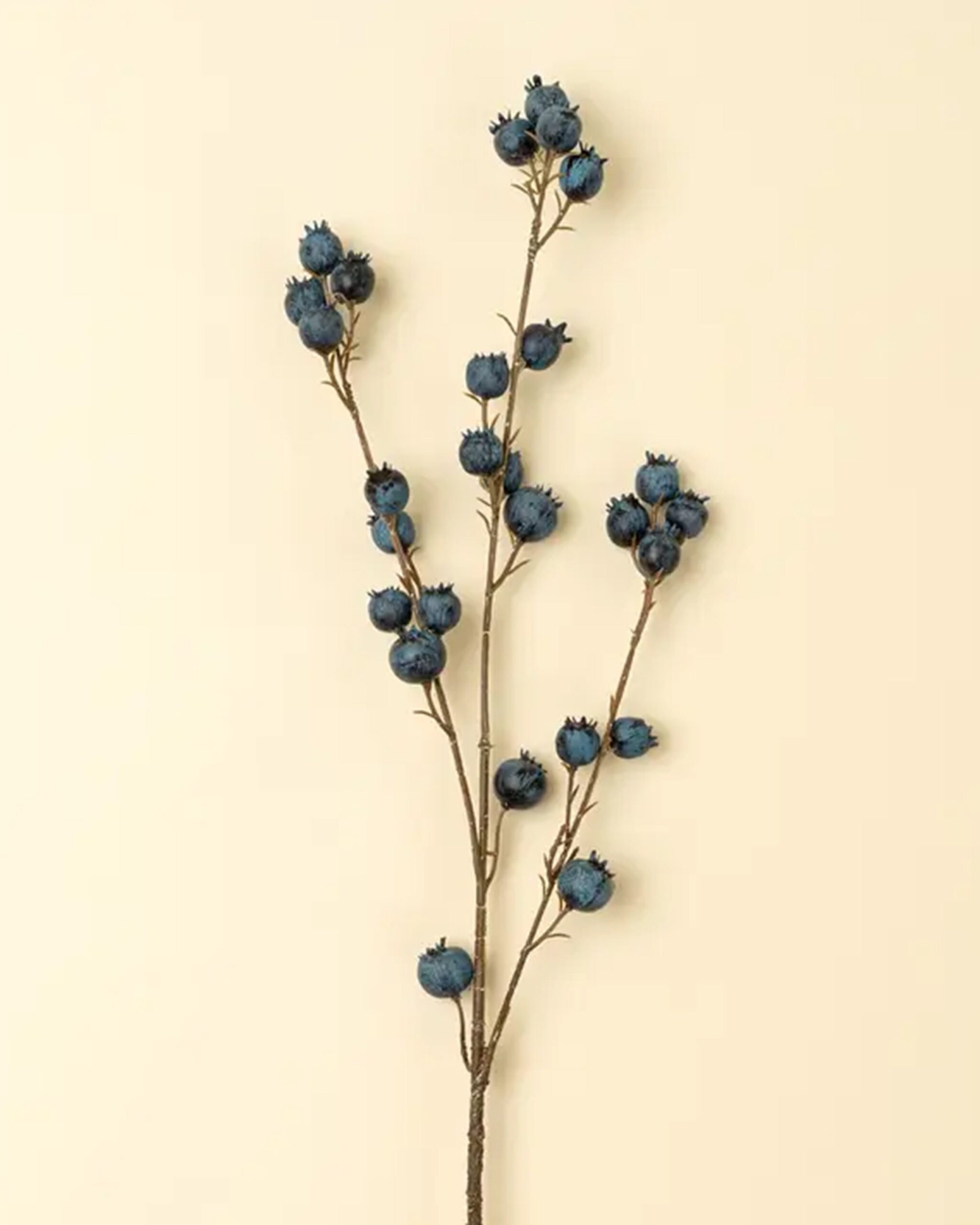 Blueberry Branch