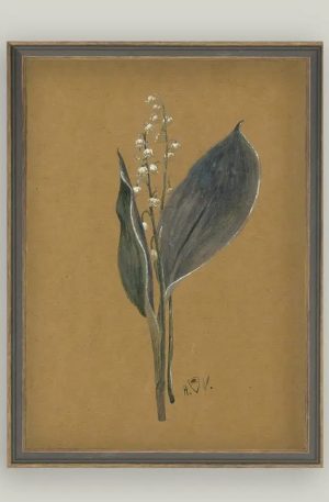 Lily On Brown Framed