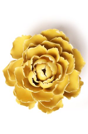 Buttercup Yellow  Peony