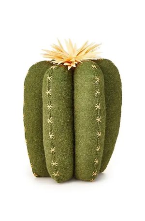 Ridged Cactus Pillow