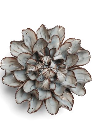 Choco Mint Echo Lasianthus