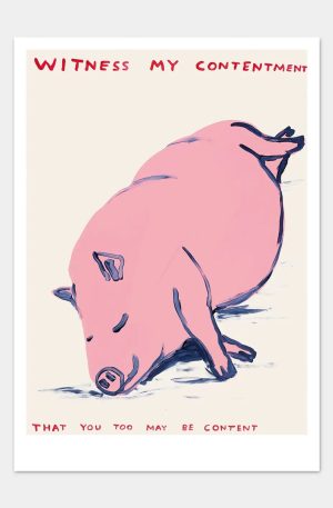 Witness My Contentment Postcard