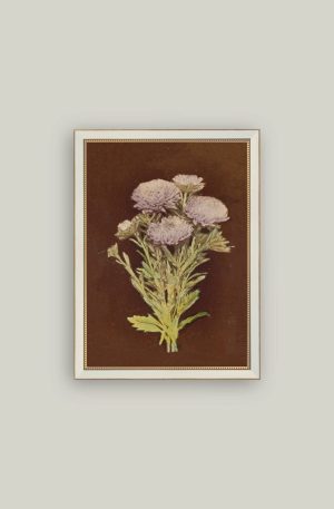 Lilac Dahlia On Brown