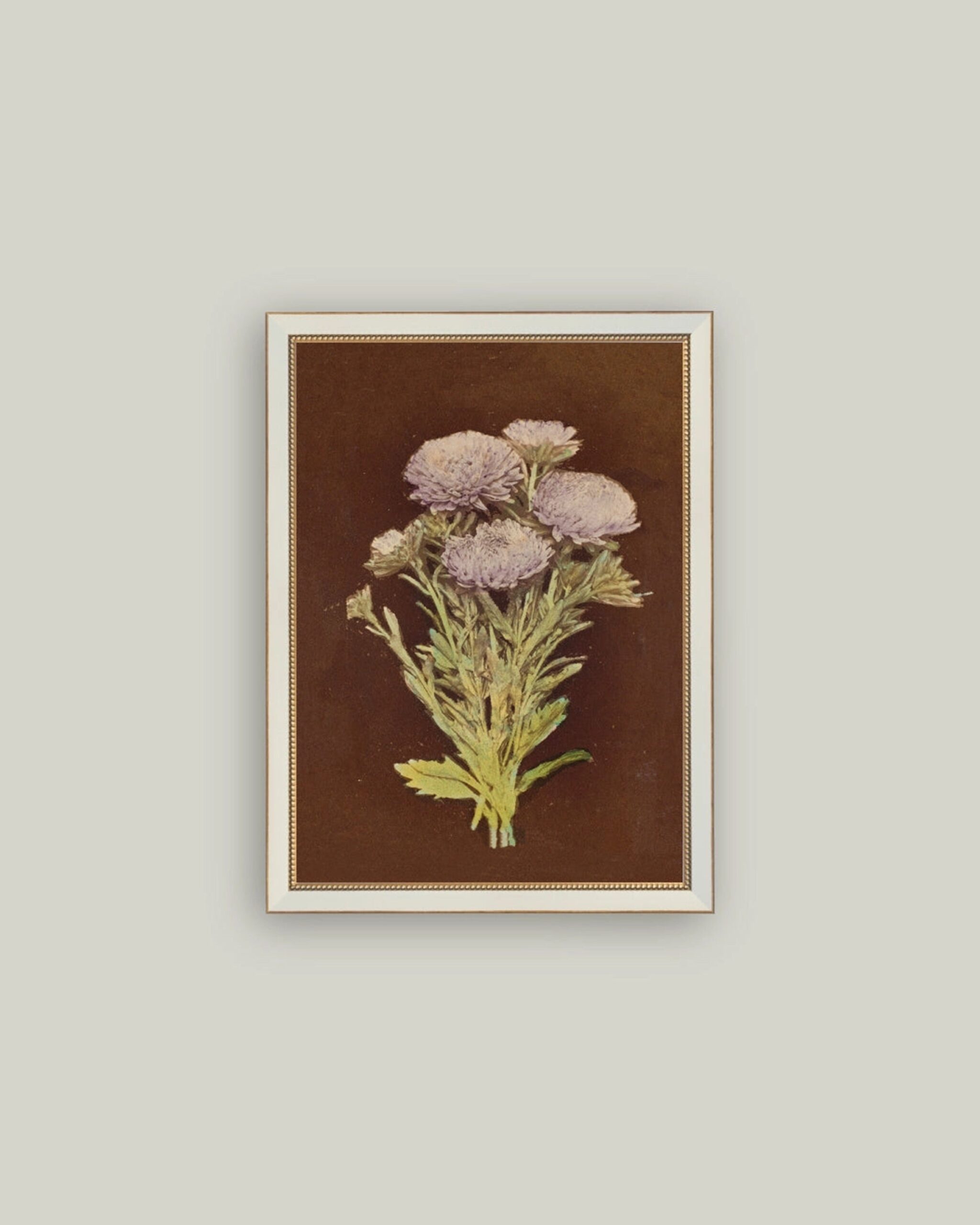 Lilac Dahlia On Brown