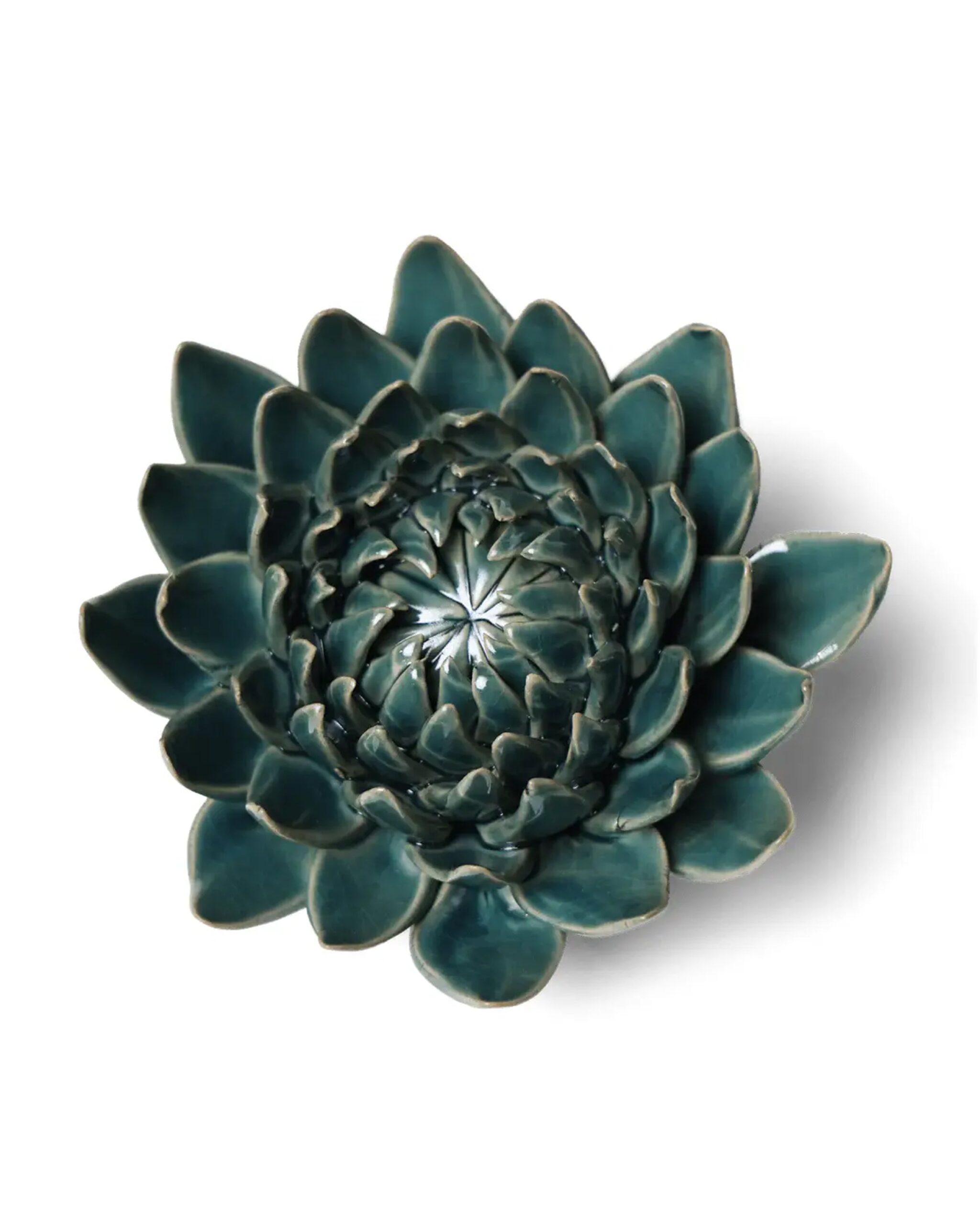 Dahlia Teal