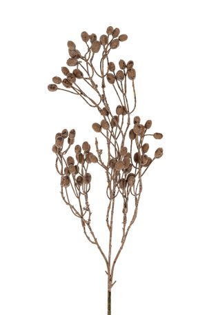 Dried Berry Branch