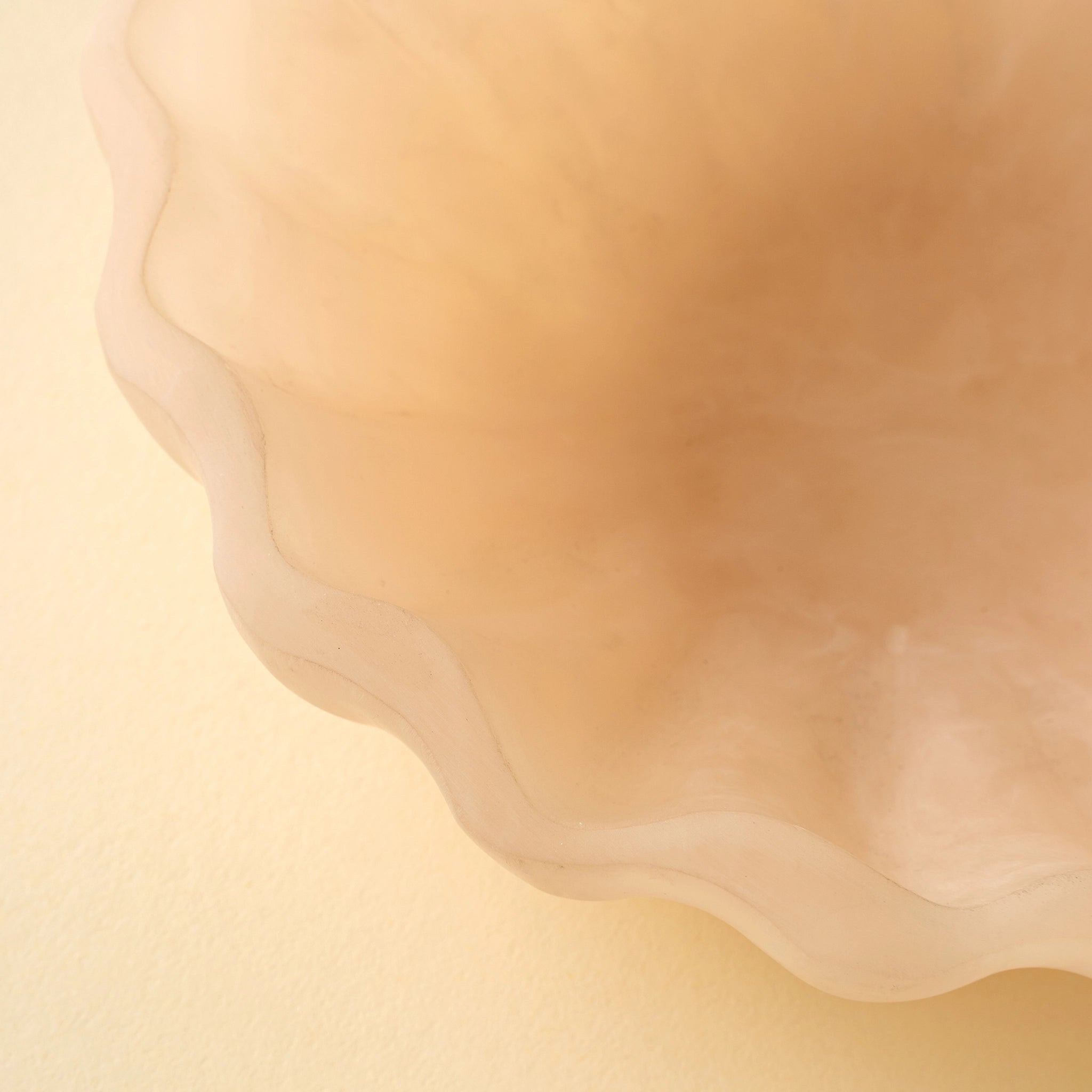 Scallop Resin Bowl - Image 2