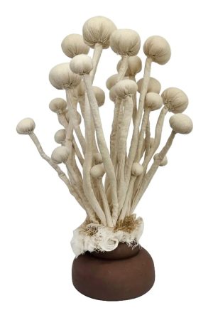 Enoki Mushroom Sculpture