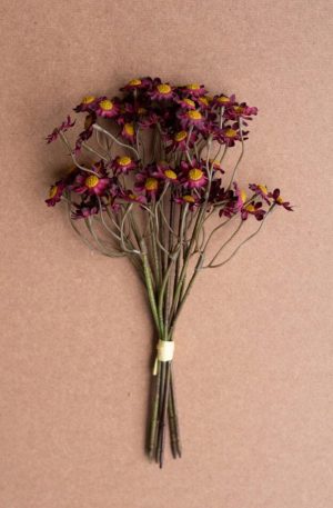 Faux Chamomile