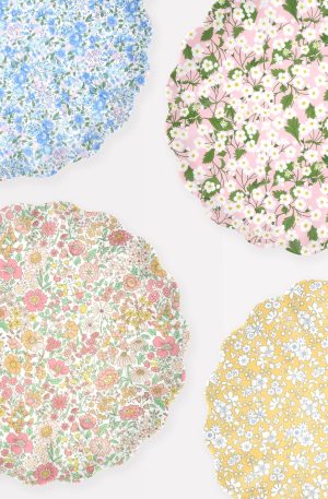Mixed Set Reusable Large Plates