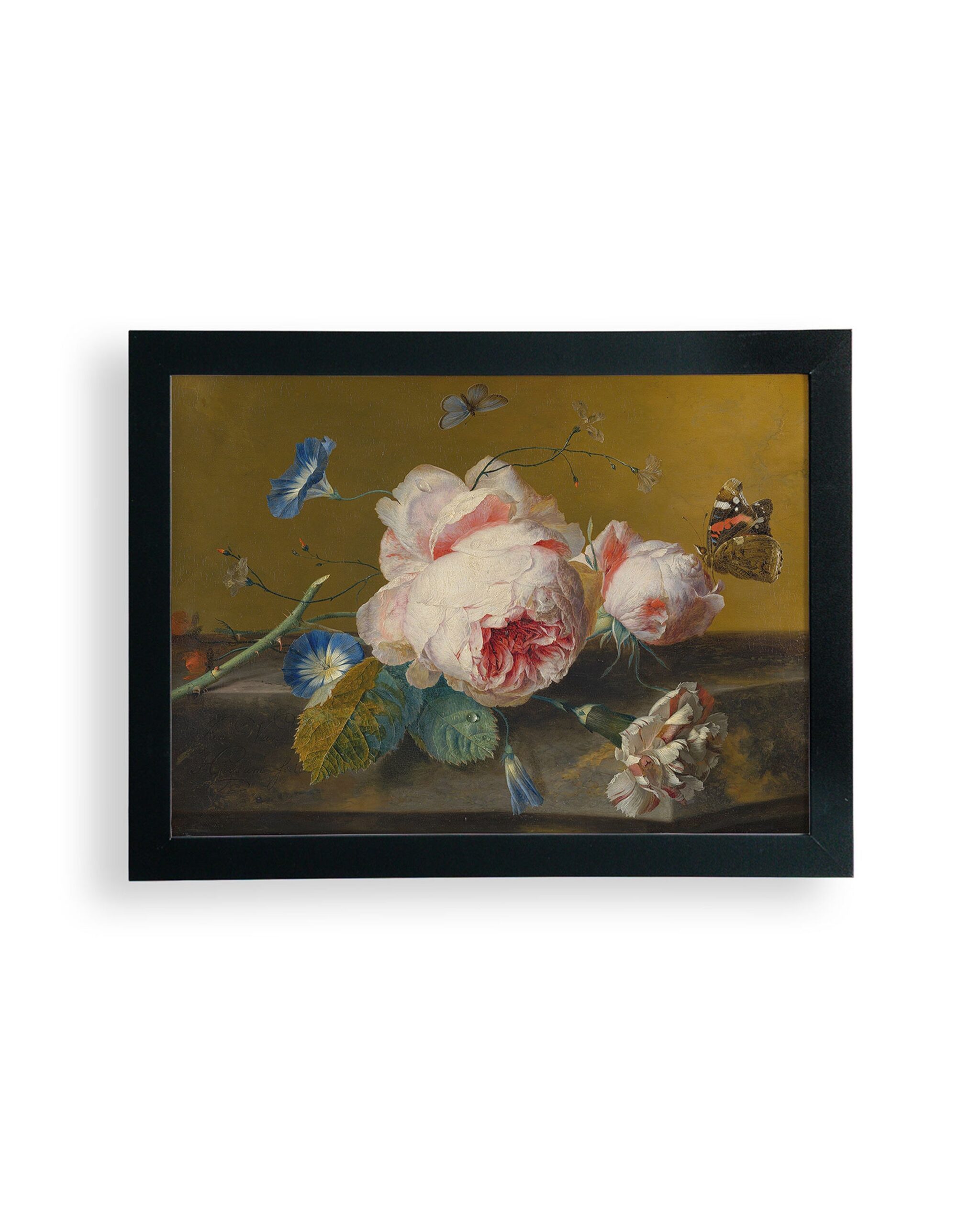 Van Huysum Flower Still Framed