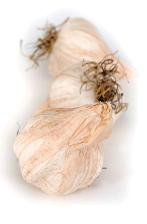 Faux Garlic