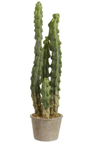 Cactus in Paper Mache Pot