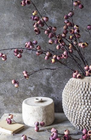 Hawthorne Berry