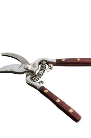 Thai Kitchen Garden Shears