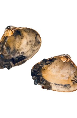 Labradorite Crystal Shell