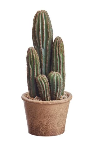 9.5 Column Cactus