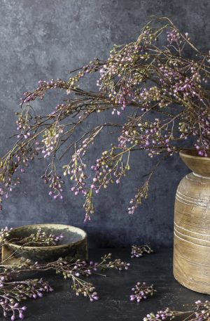 Berry Branch Lilac