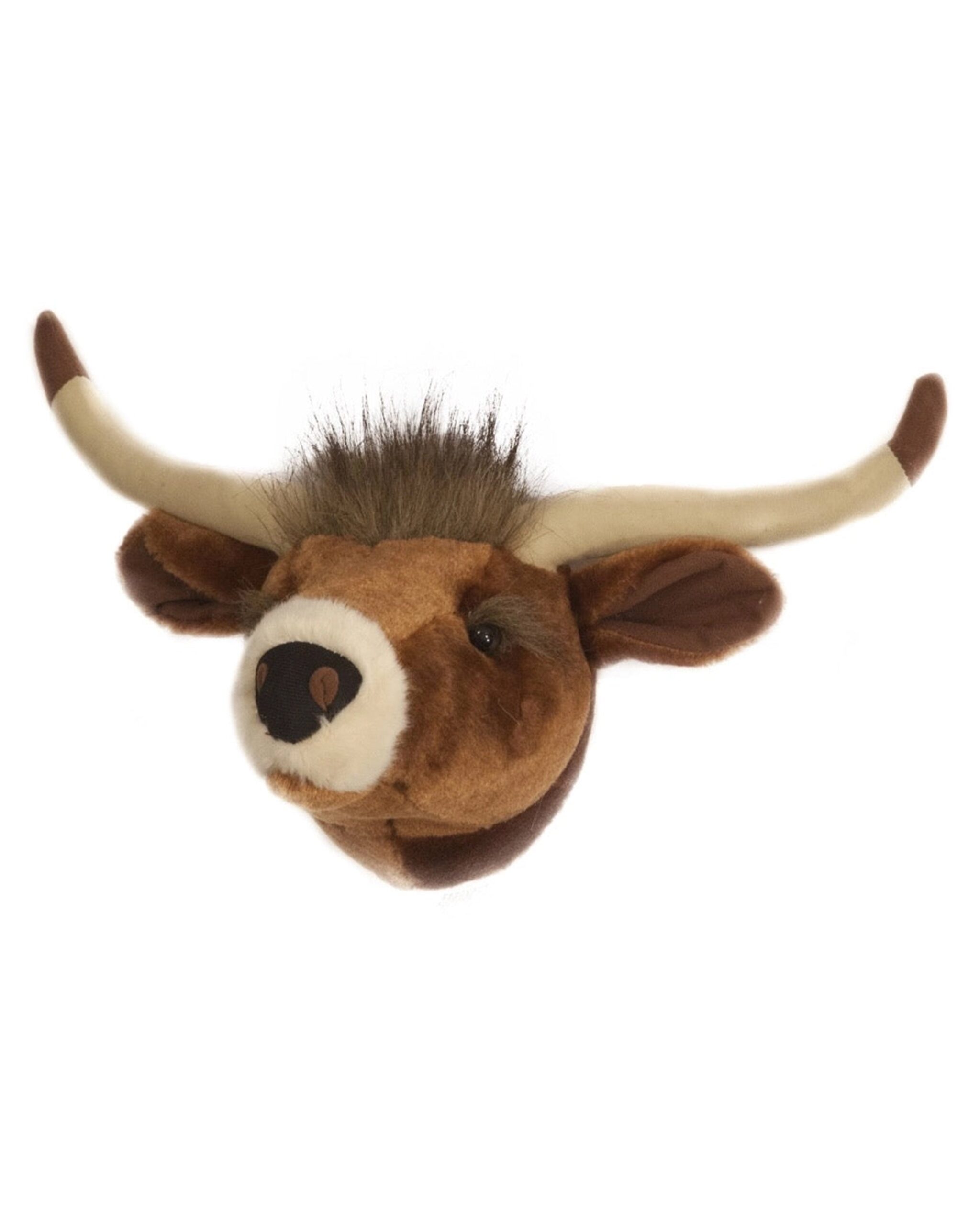 Longhorn Mini Trophy Head