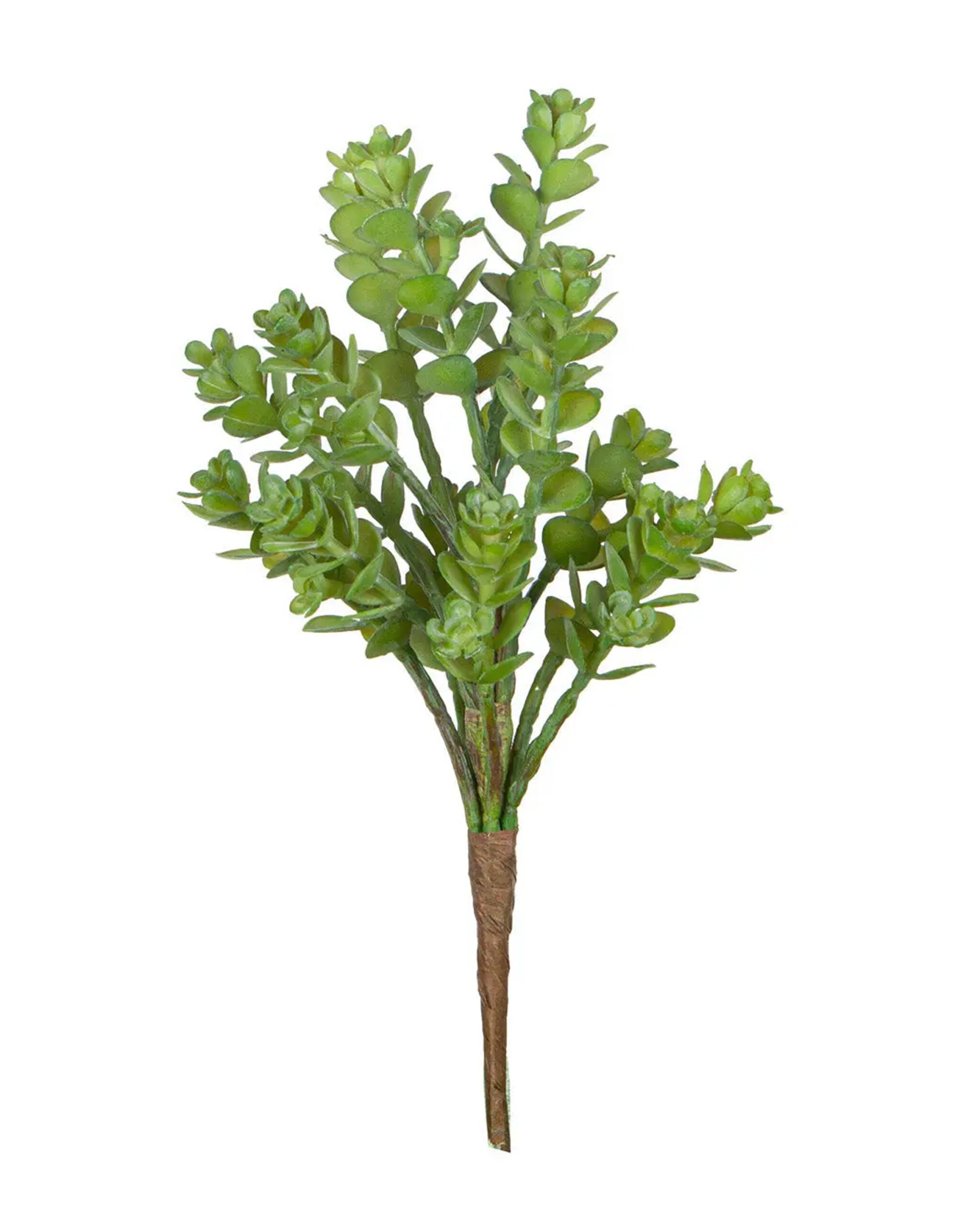 9″ UV Multi Head Succulent Stem