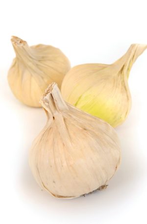 Faux Onion White