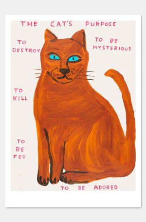 The Cat’s Purpose Postcard