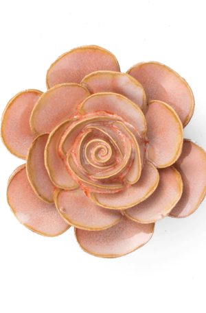Peach Pink Cloni Ranunculus