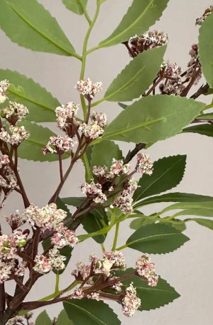 Pink Sumac Spray