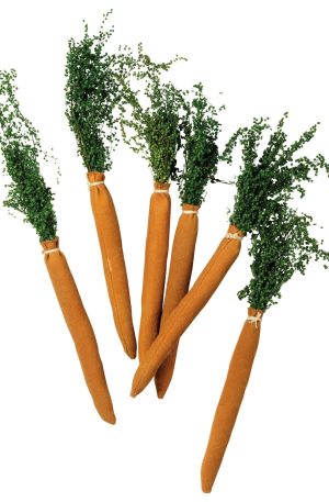 Plush Carrots