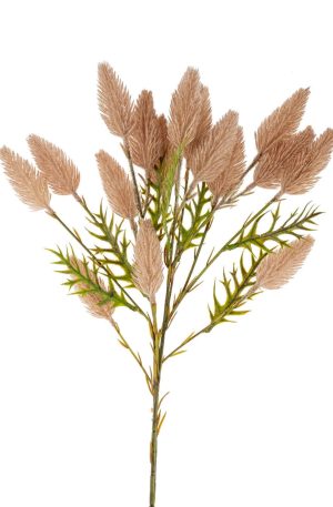 Pussytail Grass Spray