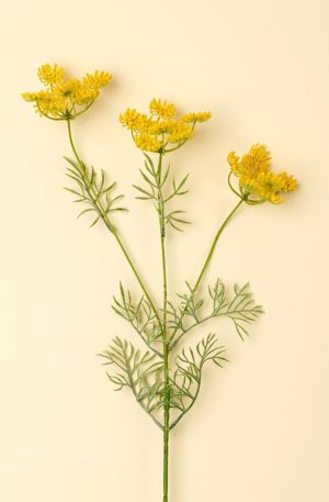 Queen Anne Lace Spray Yellow
