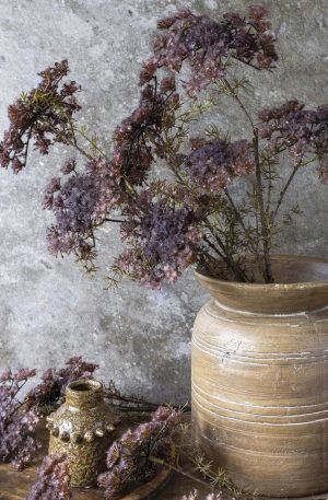 Queen Anne’s Lace Purple