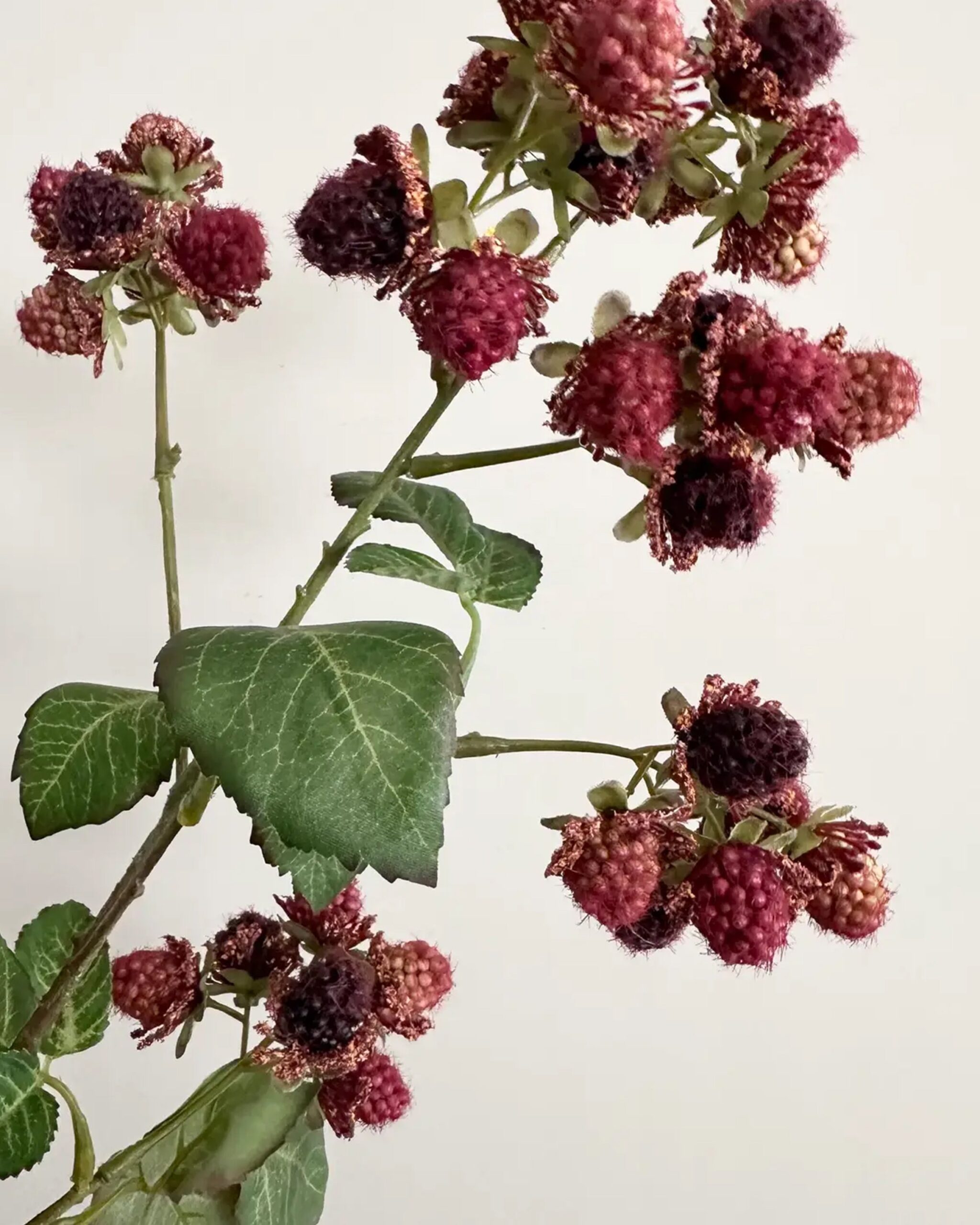 Faux Raspberry Stem