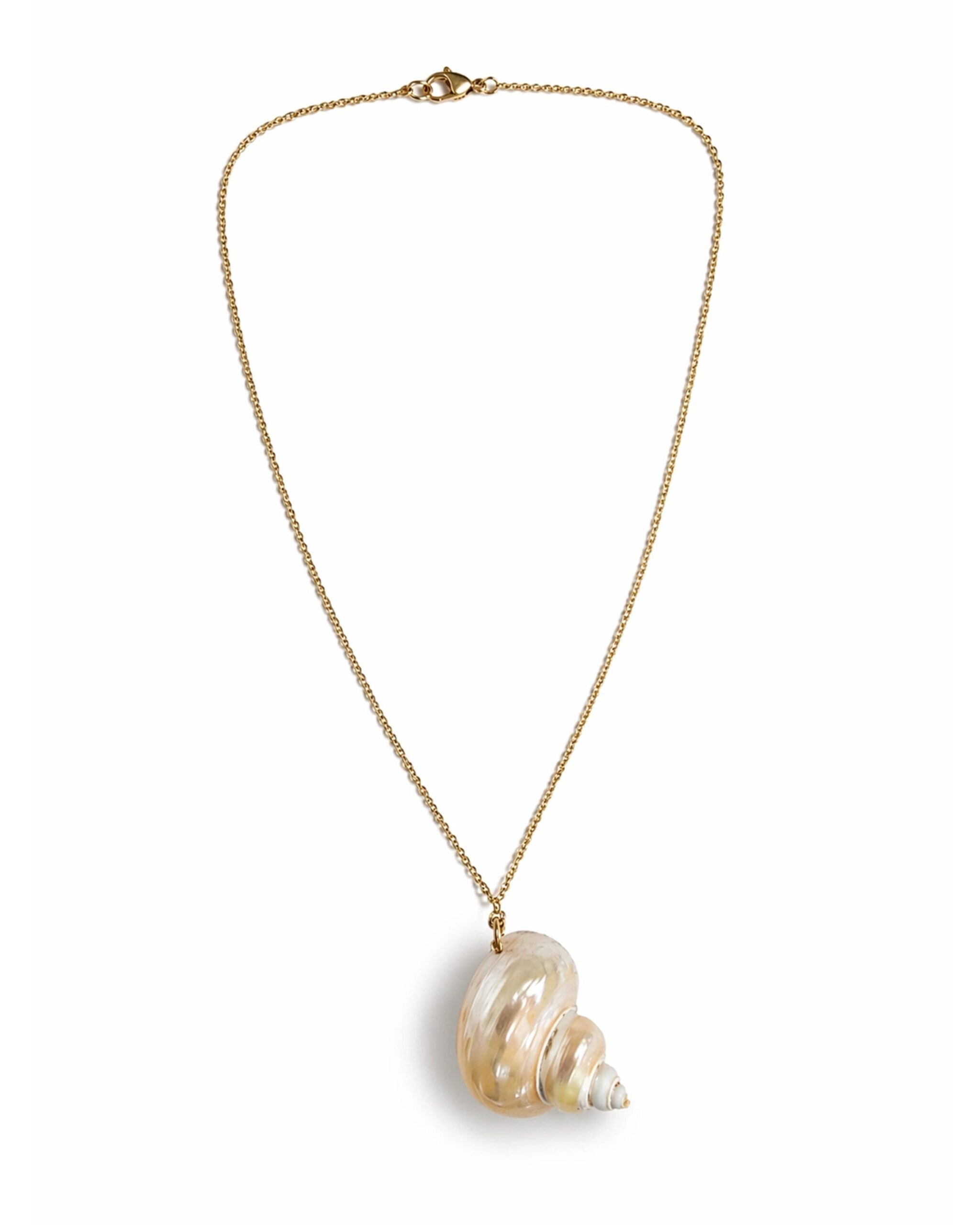 Conch Seashell Gold Necklace